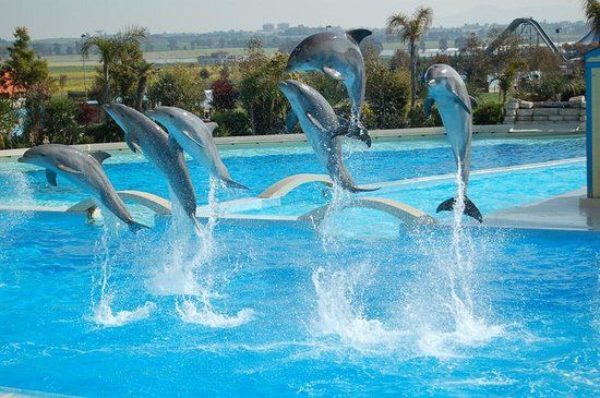 Parco Divertimenti Zoomarine